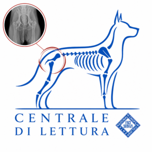 Lettura Ufficiale Displasia ANCA