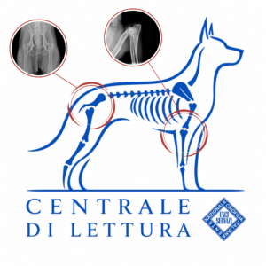Lettura Ufficiale Displasia ANCA e GOMITO