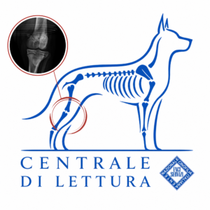 Certificato ufficiale Lussazione Rotula