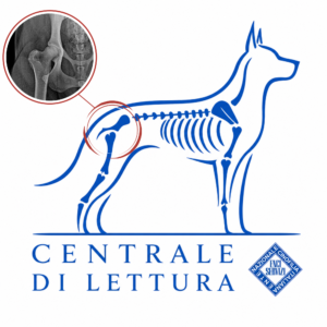 Pratica lettura ufficiale Necrosi asettica testa del femore