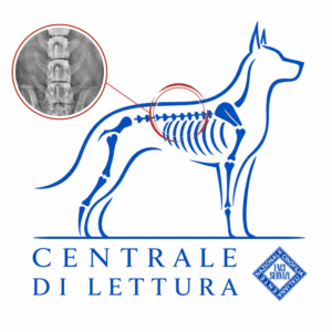Lettura ufficiale Spondilosi